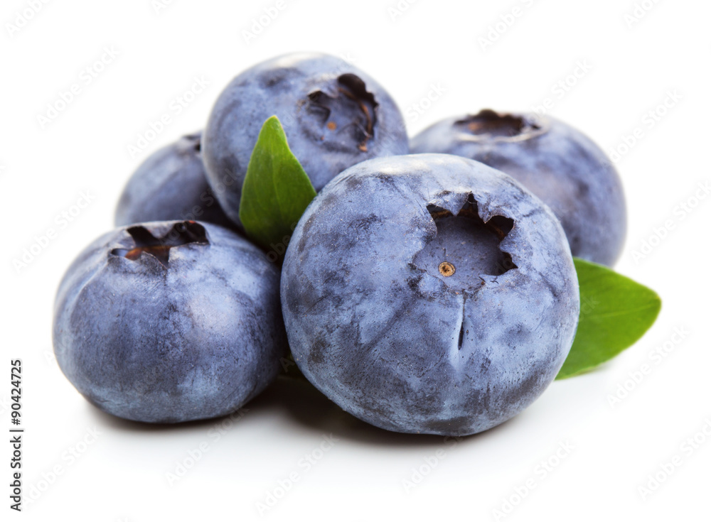 Obraz premium Blueberry