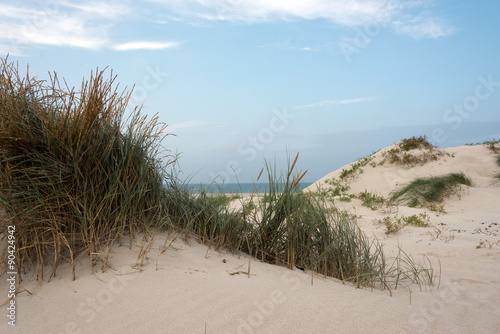 sand and marram at heligoland dune