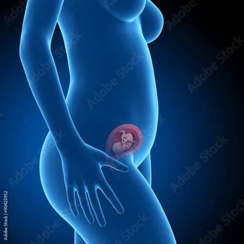 pregnant woman with visible fetus - week 18 photo