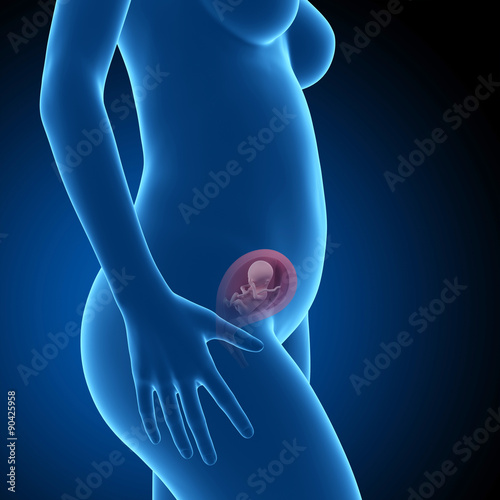 pregnant woman with visible fetus - week 19 photo