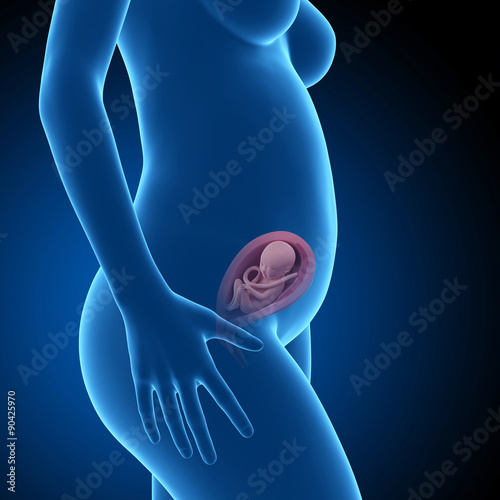 pregnant woman with visible fetus - week 23 photo