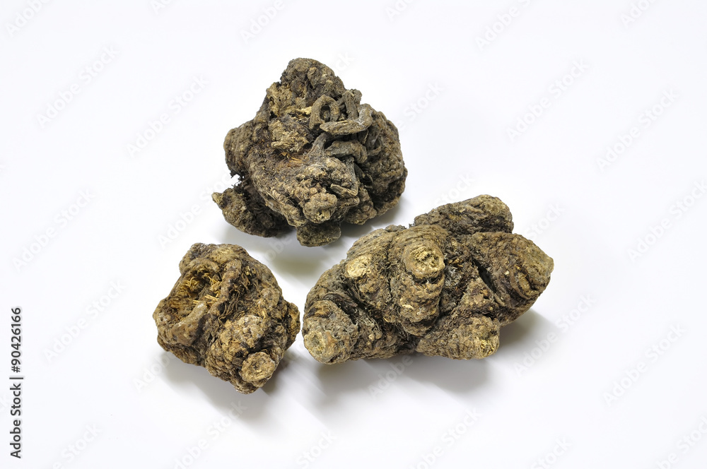 Ligusticum sinense Oliv. cv.Chuanxiong Hort Ligusticum sinense Oliv. cv.Chuanxiong Hort