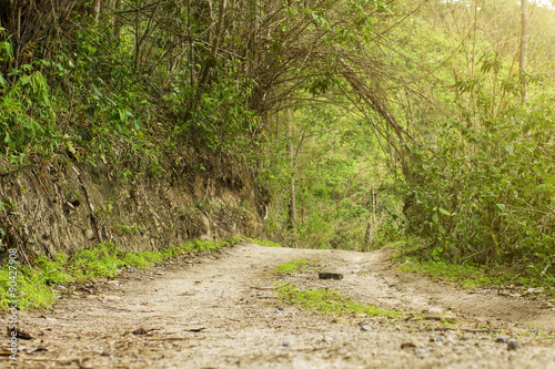 Dirt trail road in jungle