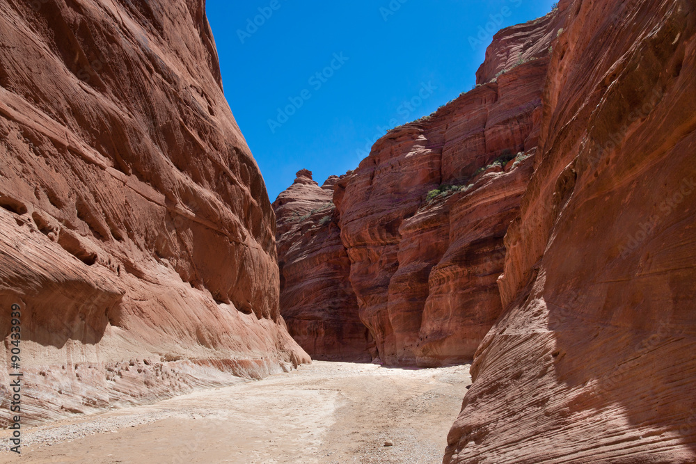 Fototapeta premium AZ-UT-Paria Canyon-Vermillion Cliffs Wilderness. This image was captured during one of my 40 mile backpacks down the Paria River, experiencing hundreds of stream crossings.