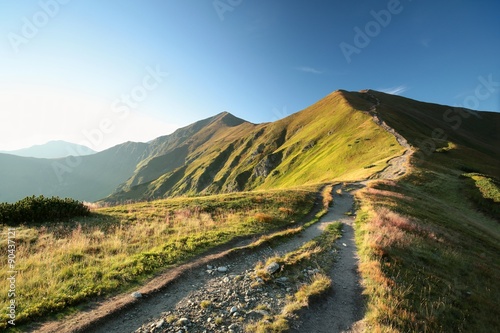 Fototapeta Naklejka Na Ścianę i Meble -  Trail leading to the summit in the Carpathian Mountains, Poland