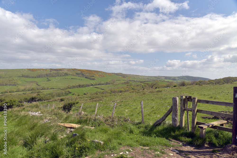 Fence on coastal path near Worbarrow Bay, Dorset