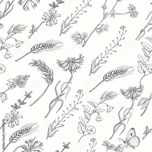 Seamless pattern with wild plants on a white background