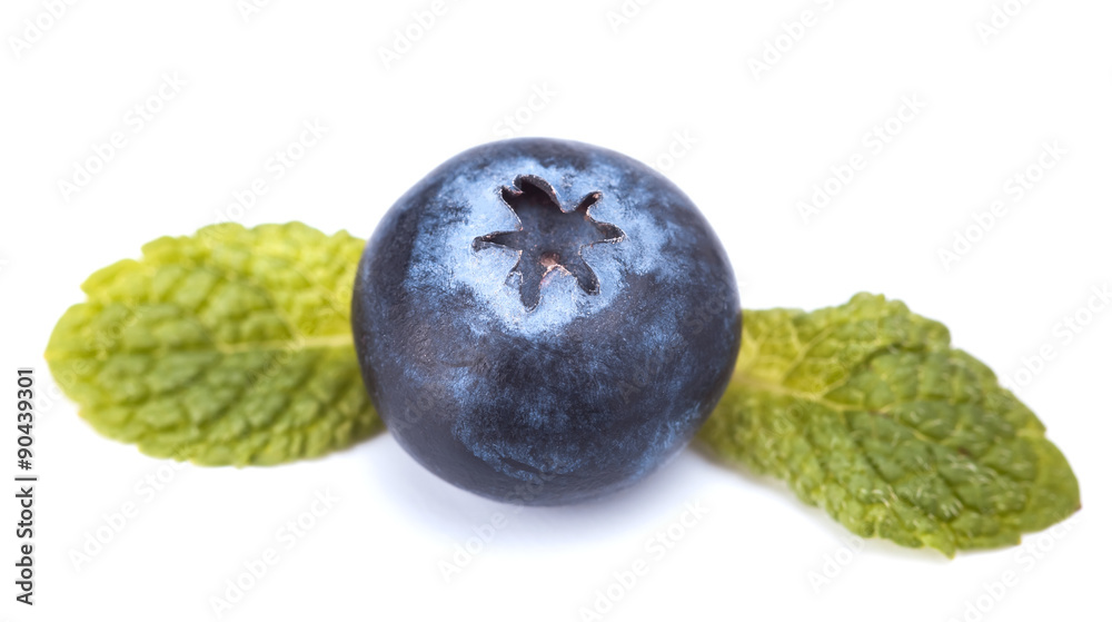 Obraz premium blackberry 