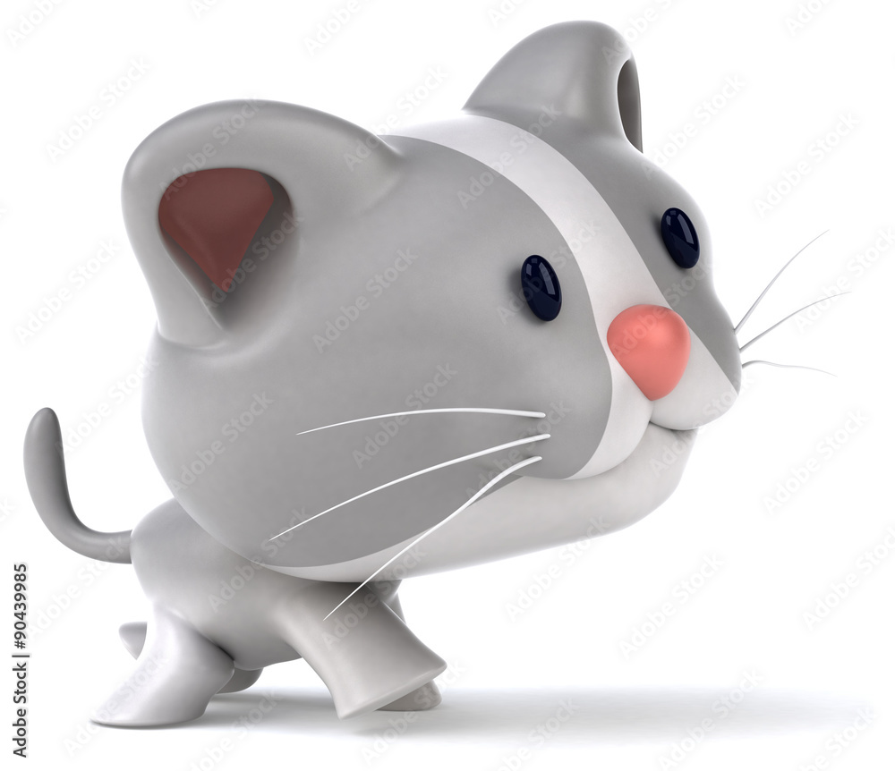 Fun cat