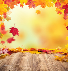autumn leaves background
