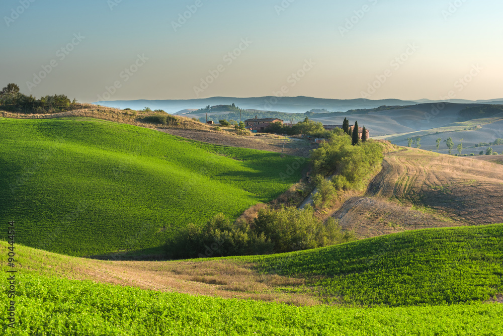 Tuscany green landscape