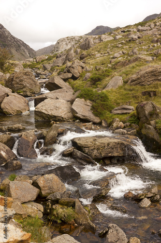 The mountain stream