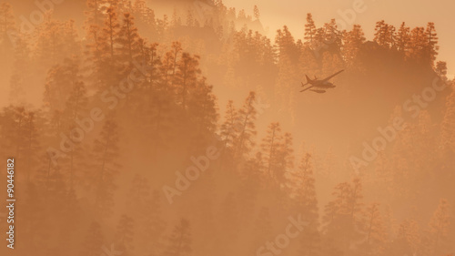Private airplane flying over autumn pine trees in the mist.