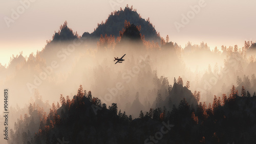 Private airplane flying over autumn pine trees in the mist.