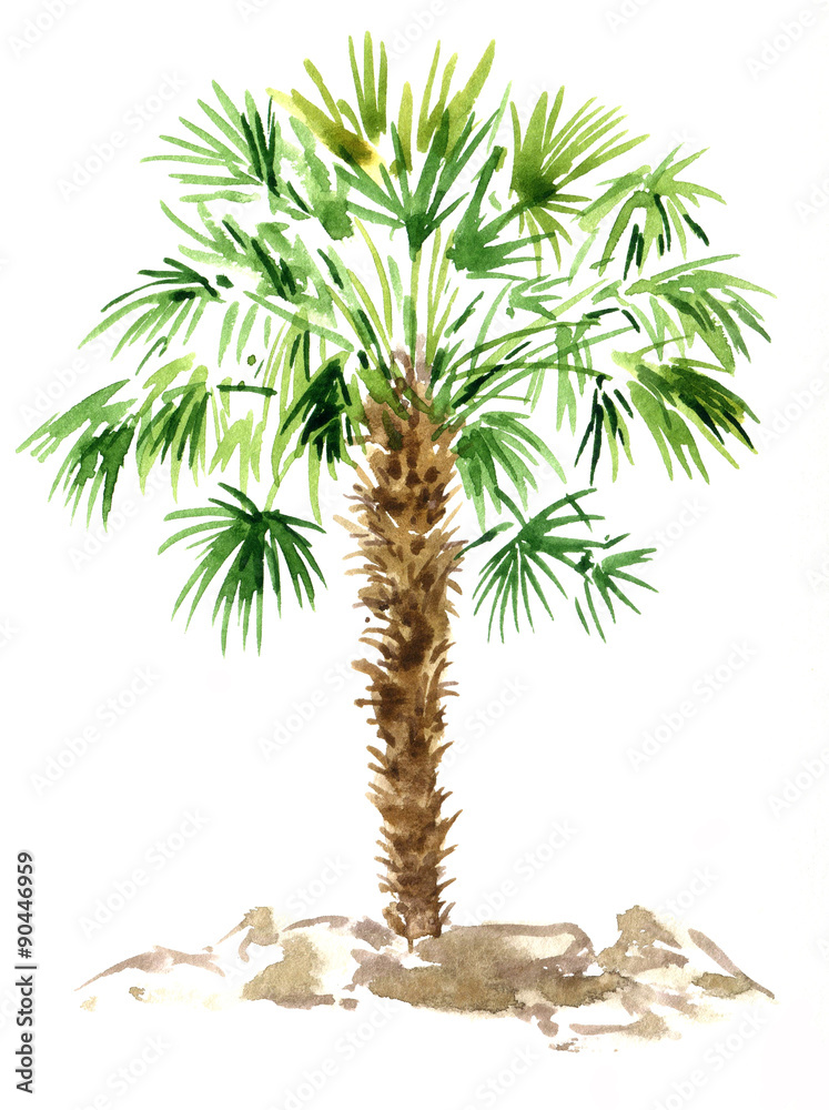 Naklejka premium watercolor palm tree