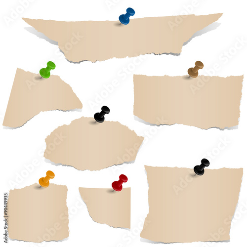 scraps of papers with pin