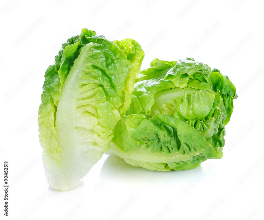 Fresh lettuce (baby cos) on white background Fresh lettuce (baby cos) on white background