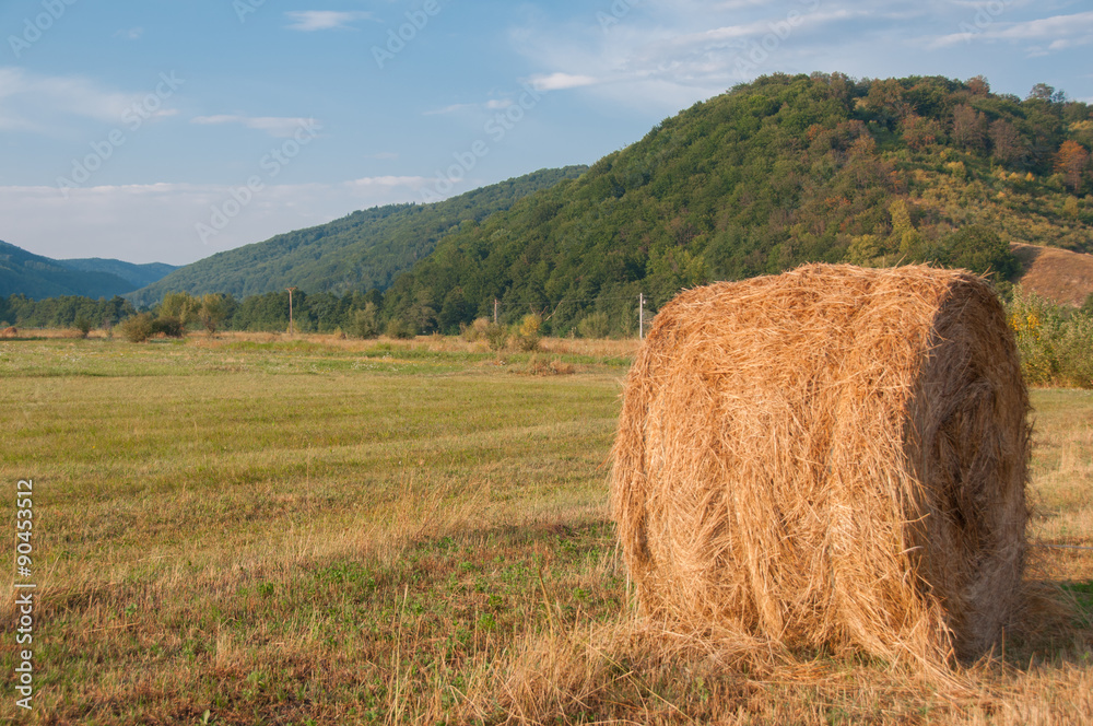Summer Farm Scenery with Haystack. Agriculture Concept.