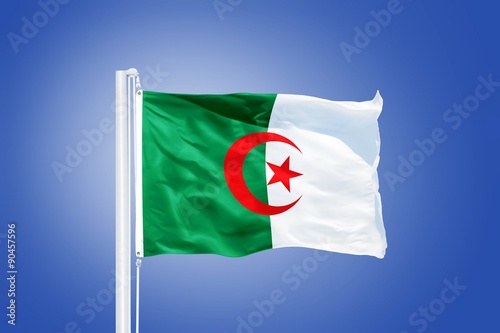 Flag of Algeria flying against a blue sky