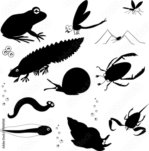 silhouettes of inhabitants of pond