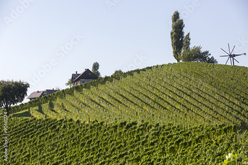 Klapotetz, an der Weinstrasse, Südsteiermark, Steiermark photo