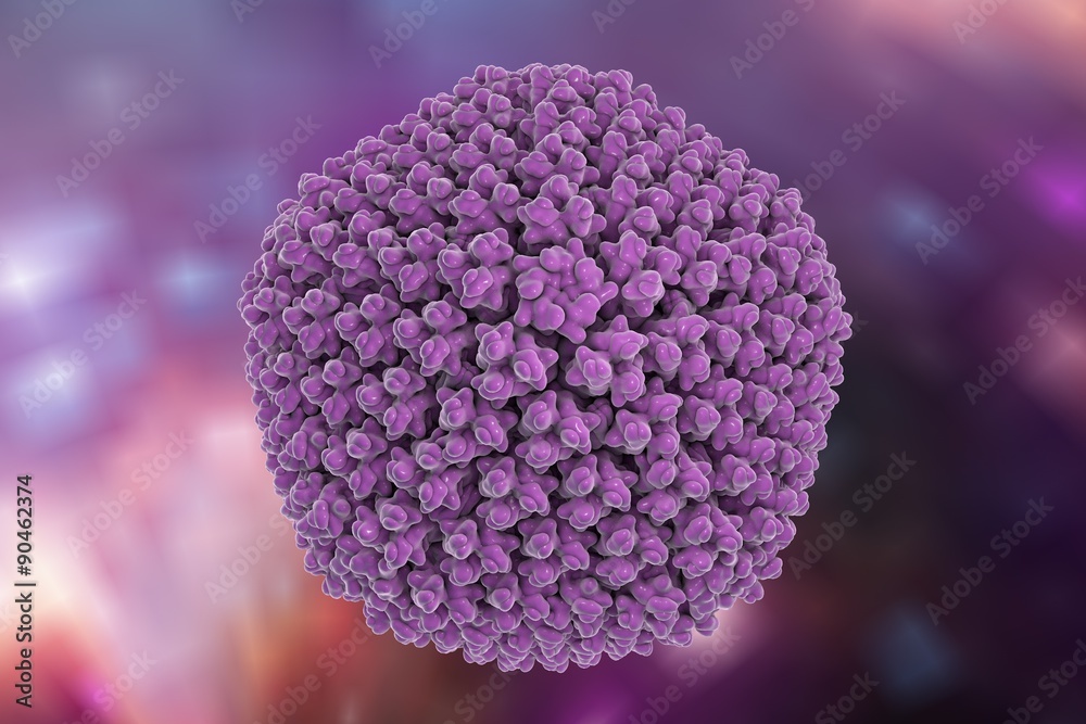 Obraz premium Background with virus. Adenovirus type 5 which causes respiratory infections. A model is built using data of viral macromolecular structure from Protein Data Bank (PDB 3IYN)