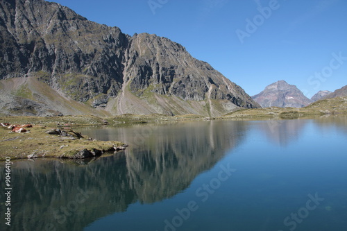 bergsee spiegelung,