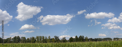 Hintergrund Wiese und Wolken