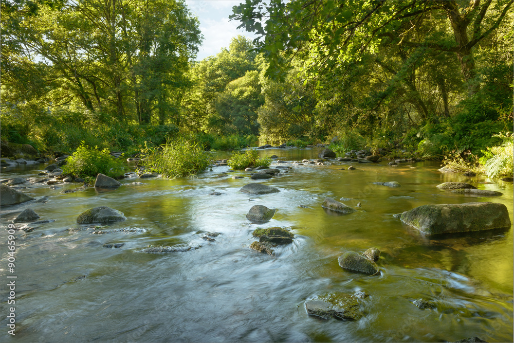 Fototapeta premium River landscape