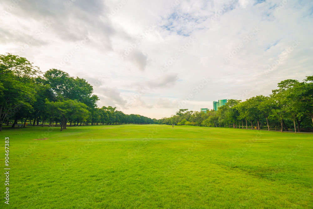 Obraz premium Green lawn on park field in Bangkok