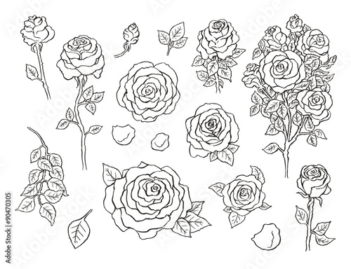Set of ink hand drawn stylized flowers