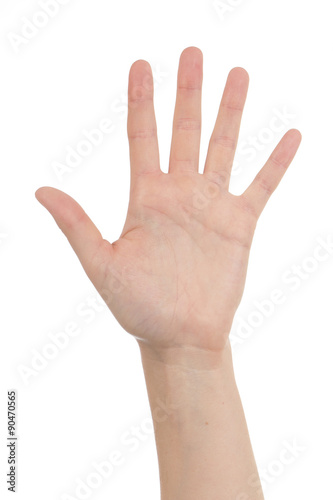 paume main gauche femme
