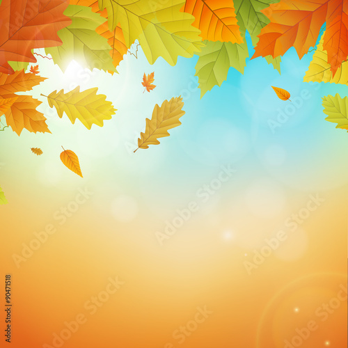 autumn vector background with leafs
