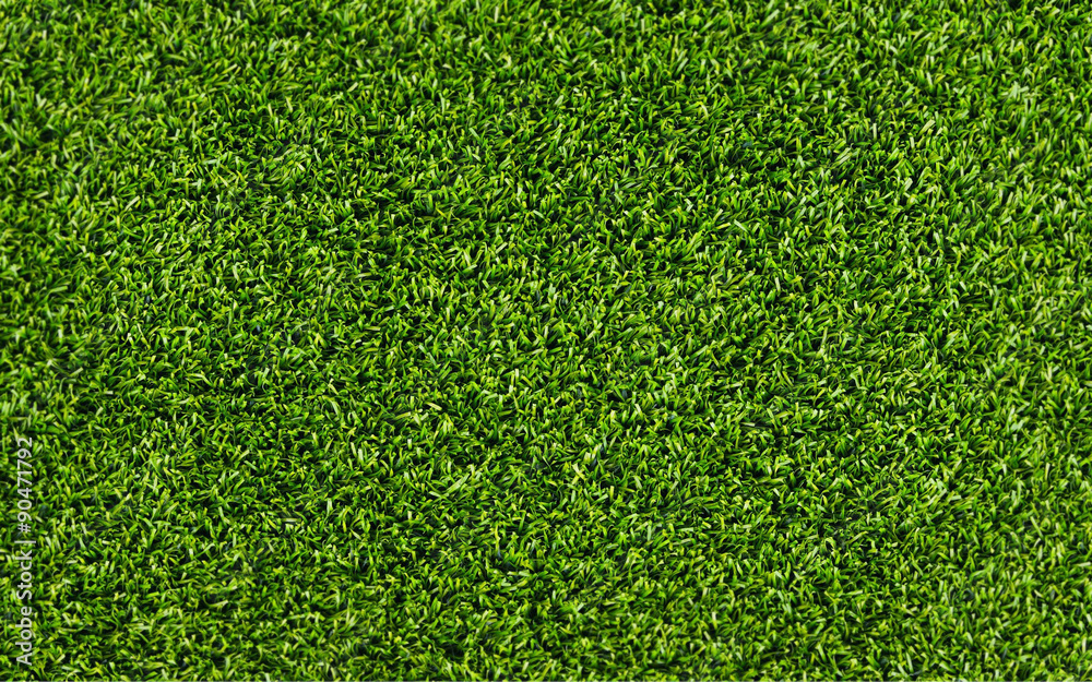 Fototapeta premium Gras