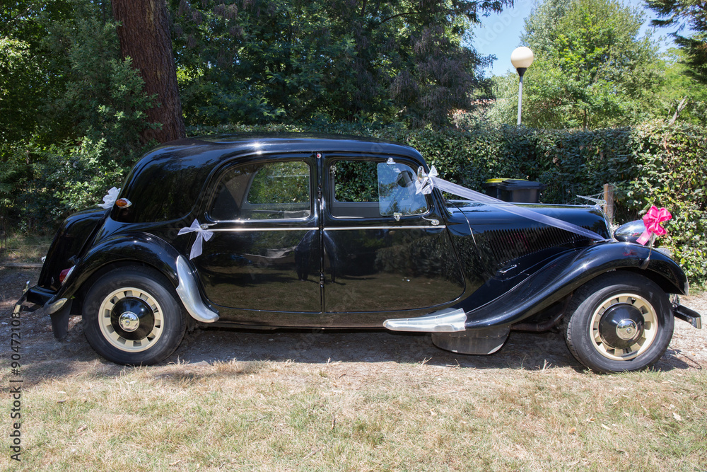 Old and beautiful cars are parked and decorated for wedding Old and beautiful cars are parked and decorated for wedding