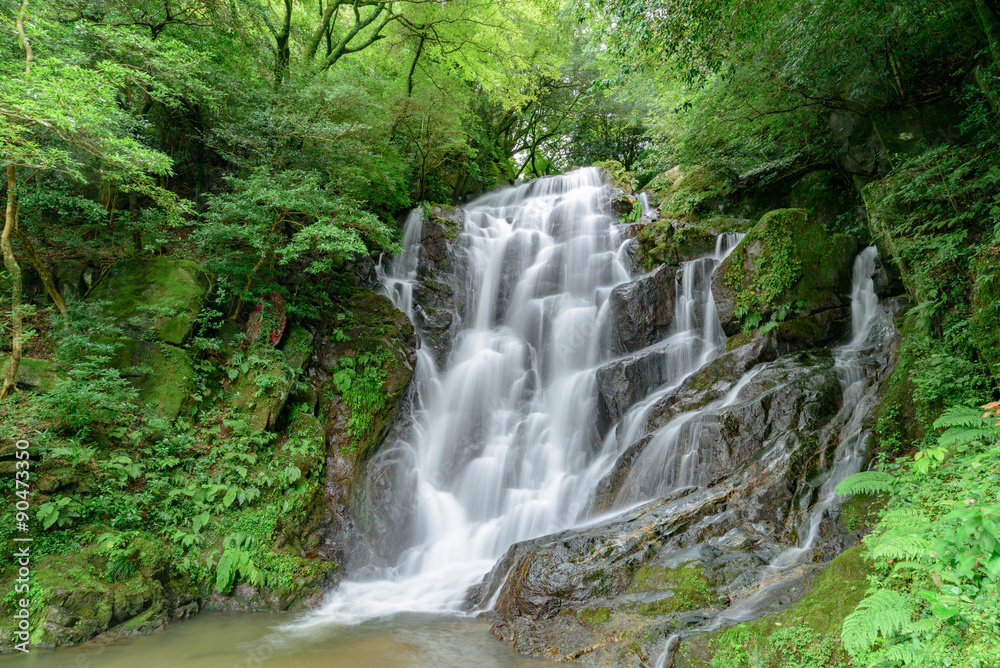 Itoshima Fukuoka,JAPAN-September 2.2015: Shiraito Falls Itoshima Fukuoka,JAPAN-September 2.2015: Shiraito Falls