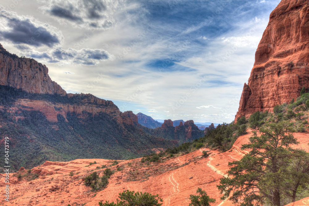 Fototapeta premium Outside of Sedona, Arizona, in the Schnebly Hill area, are miles and miles of spectacular desert hiking.