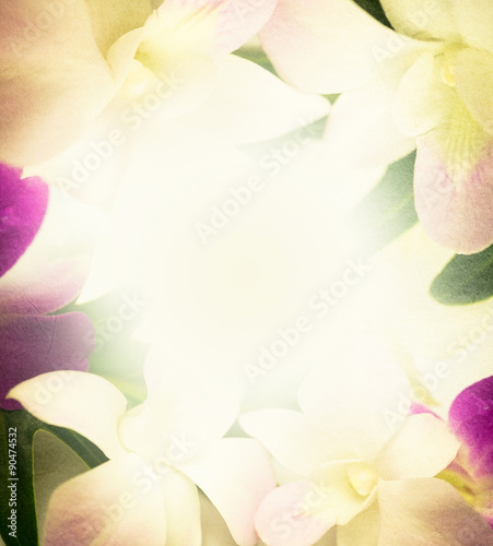 Fototapeta Naklejka Na Ścianę i Meble -  orchids in vintage color style on mulberry paper texture background
