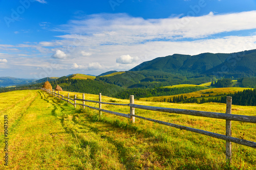 Summer countryside