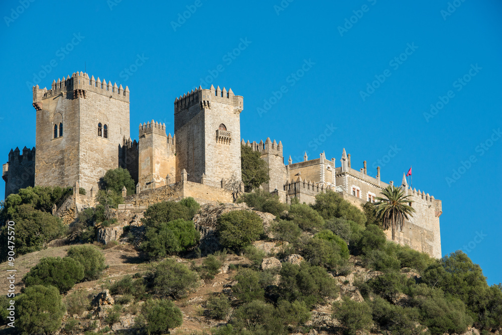 Almodovar del Rio castle, Spain