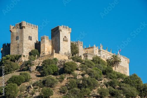 Almodovar del Rio castle, Spain