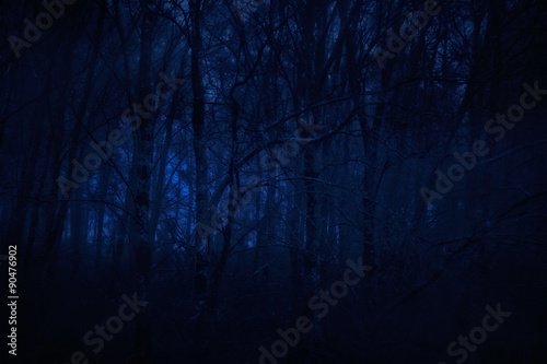 Dark forest