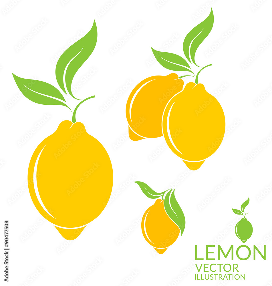 Obraz premium Lemon. Isolated fruit on white background