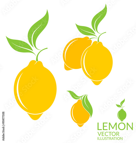 Lemon. Isolated fruit on white background