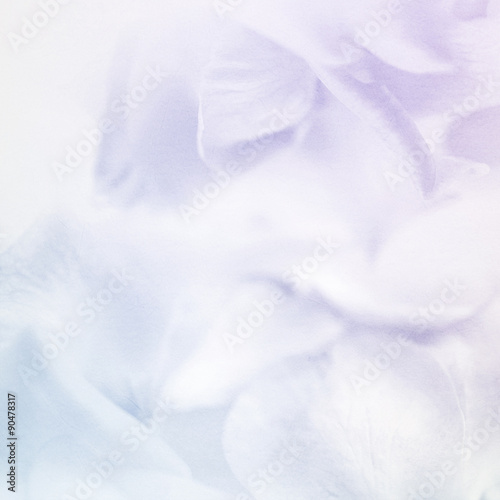 vivid color flower petals in soft color on mulberry paper texture for background 