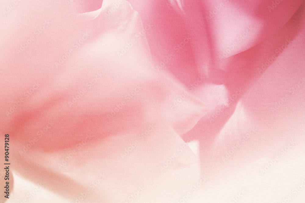 Obraz premium vivid color flower petals in soft color on mulberry paper texture for background