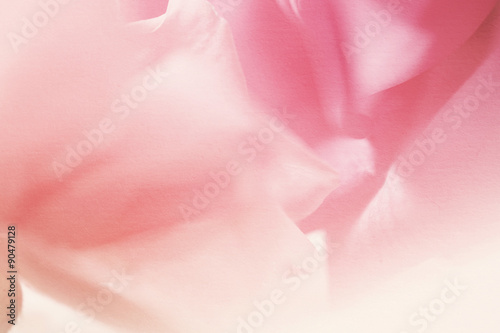vivid color flower petals in soft color on mulberry paper texture for background
