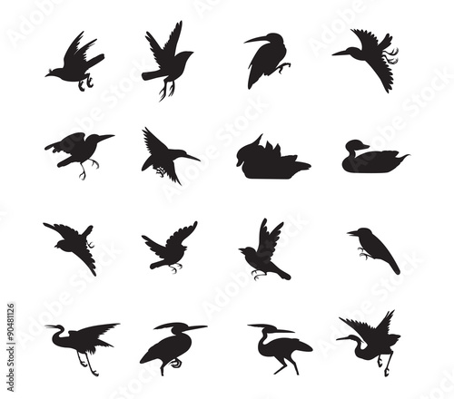 bird and duck Siluate style vector photo
