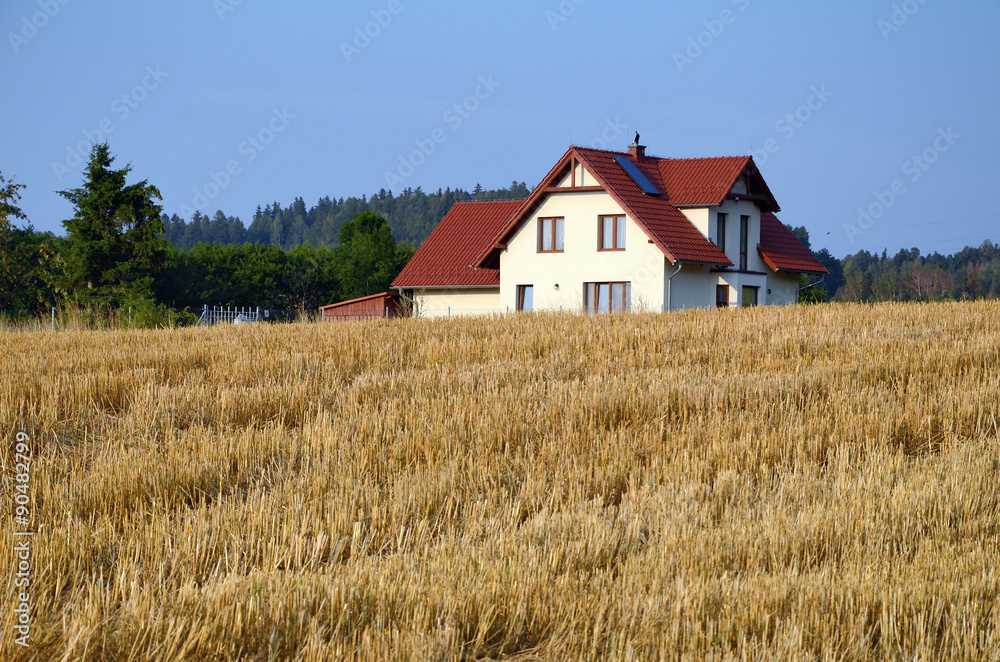 Landscape with  field and house - obrazy, fototapety, plakaty 