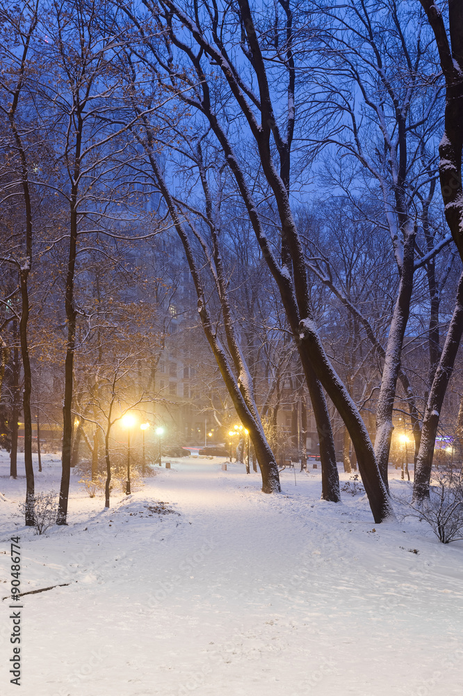 Footpath in a fabulous winter city park Footpath in a fabulous winter city park